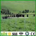 Cheap Price Galvanized Cattle Fence(hot sale) /Grassland Fence